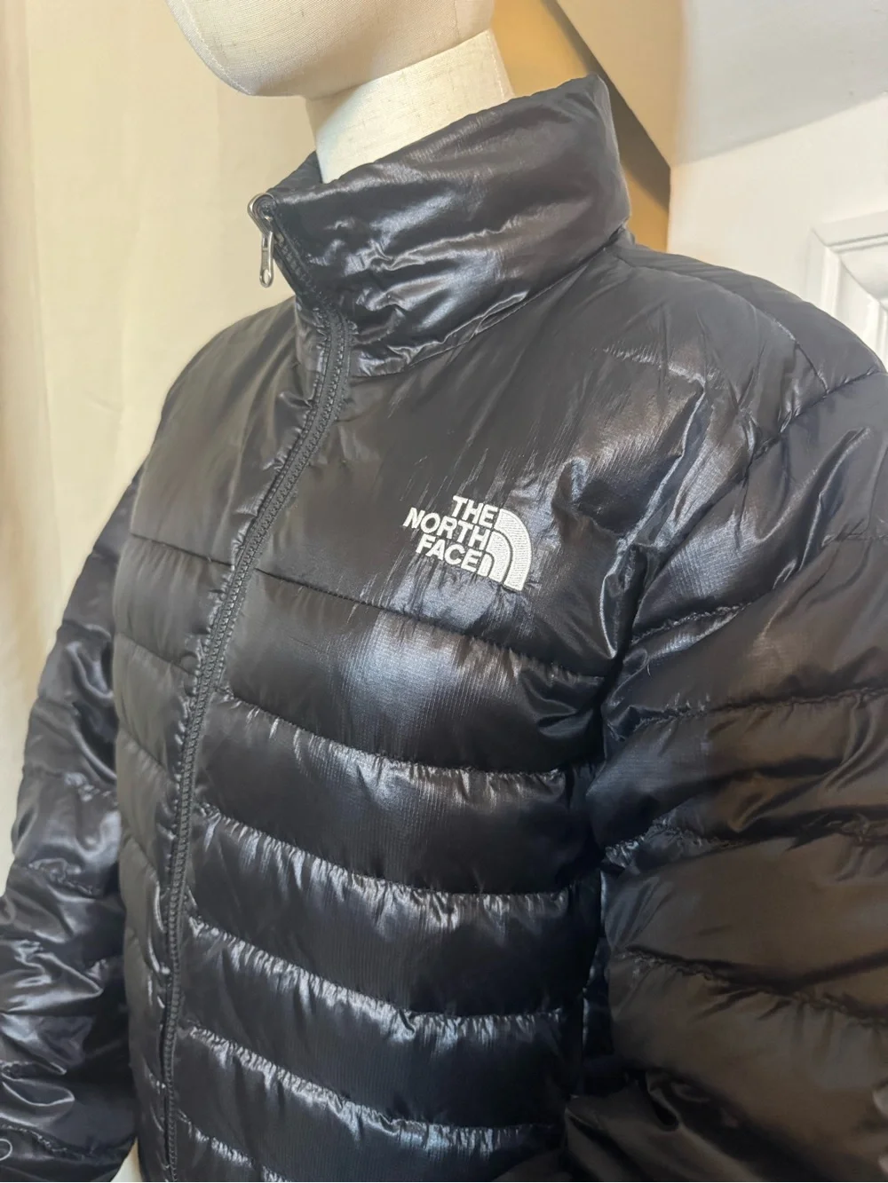 The North Face Men's Black Quilted Puffer Jacket